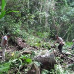 Autoridades realizaron visita de inspección en Parque Nacional de Tingo María