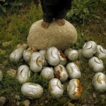 Piden que el Perú ratifique acuerdo contra armas de racimo y minas explosivas