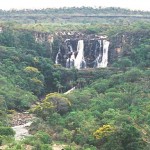 Gobierno de Brasil paga deuda con EEUU protegiendo bosques tropicales
