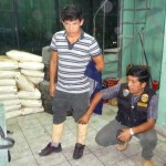 Detienen a dos personas que transportaban droga de Tingo María a Lima 