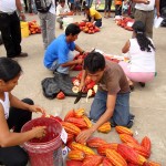 Café y cacao entre los principales productos de exportación de Huánuco