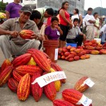 Café y cacao entre los principales productos de exportación de Huánuco