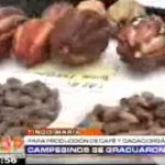 10 mil agricultores del Alto Huallaga se capacitaron para sembrar café y cacao orgánico (video)