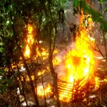 Policías antidrogas destruyeron dos laboratorios del narcotráfico en Santa Rosa, VRAE
