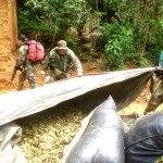 Policías antidrogas destruyeron dos laboratorios del narcotráfico en Santa Rosa, VRAE