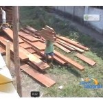 Cerca de 20 mil pies de madera se incautaron en una semana en Tingo María