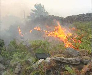 incendio-forestal-1 incendio-forestal-1