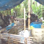 Desactivan 30 laboratorios del narcotráfico en zonas de erradicación de coca de Aguaytía