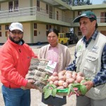Científicos del INIA presentan nueva variedad de ‘papa ayacuchana’