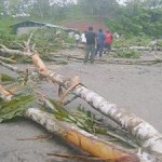 Cocaleros suspenden paro en Aguaytía tras fracaso de intento de detener erradicación de coca