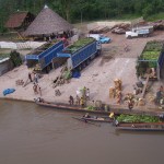 Agricultores lícitos exigen a cocaleros suspender huelga que solo generan pérdidas