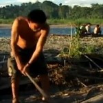 Publican video sobre comercio de la madera en la selva peruana