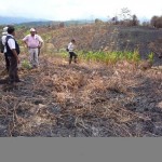 Autoridades inspeccionan lugares dañados por incendios forestales en el Alto Huallaga