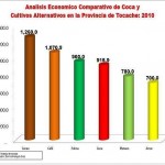 Cacao, café y palma son más rentables que la hoja coca en la provincia de Tocache