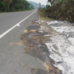 Autoridades políticas de Aucayacu recibirán capacitación en delitos ambientales