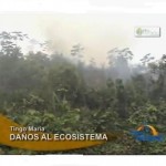 Incendios forestales destruyen 70 hectáreas de cultivos en el Alto Huallaga (video)