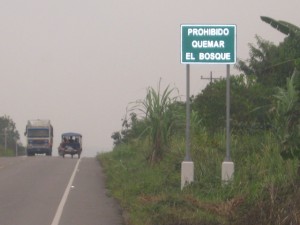 incendios3 Autoridades de Aucayacu se ponen las pilas para castigar delitos ambientales