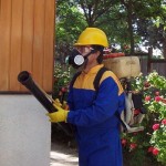 Realizarán campaña de desratización en Kimbiri