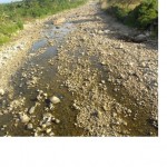 Río Huallaga y turística Laguna Sauce disminuyen notablemente su caudal
