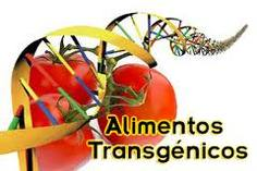 En siete meses regirá etiquetado de los productos transgénicos
