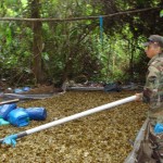 DIRANDRO destruyó once laboratorios de pasta básica de cocaína en El Monzón