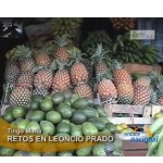 Agricultura y electricidad serán los retos para autoridades electas en Leoncio Prado (video)
