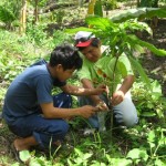 3,600 agricultores se capacitan en mejora de cultivos y crianza de ganado