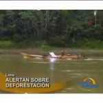 Deforestación es el principal problema de la amazonía, señalan expertos (video)