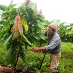 Dirigente cacaotero destaca constitución de 20 comités de productores en Aguaytía
