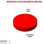 El 99.48 % de la producción de coca de Aguaytia va al narcotráfico