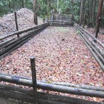 Destruyen seis laboratorios de droga en Río Abujao, Ucayali