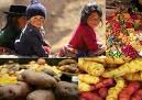 FAO ratificará compromisos con el Gobierno para mejorar alimentación de población rural