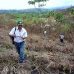 Sesenta por ciento de bosques de Leoncio Prado desaparecieron por la tala ilegal