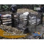 Policía antidrogas destruye tres laboratorios clandestinos de droga en Aguaytía (video)