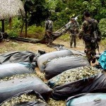 Los candidatos del VRAE y la hoja de coca ilegal