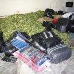 Incautan más de dos toneladas de hoja de coca