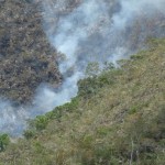 Expertos forestales contra incendios viajan a zona de emergencia en Moyobamba