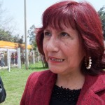 Destacan importancia de energías renovables ante deshielo de los nevados andinos