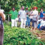 Científicos internacionales evaluaron bosques de Ucayali