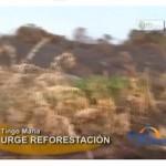 Advierten que urge repoblar los bosques en Tingo María (video)
