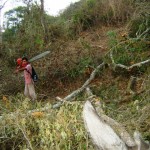 Intervienen a taladores en Reserva Nacional de Tumbes