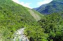 Declaran de necesidad pública establecimiento del área de conservación Alto Shunte en Tocache