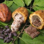 Productores del VRAE presentes en Feria Nacional “Comprale a Ayacucho”