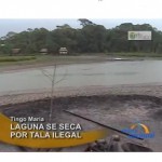 Laguna de Tingo María se está secando por tala ilegal (video)