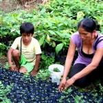 FEPAVRAE reconoce que cultivos alternativos pueden erradicar la coca ilegal
