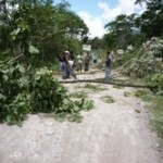 Cocaleros bloquean carretera al valle del Monzón