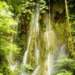 INIA convoca a consulta pública sobre creación de zonas de agrobiodiversidad
