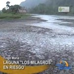Autoridades buscan salvar la laguna Los Milagros de Leoncio Prado (video)
