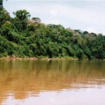 Parque Nacional Alto Purús celebra su sexto aniversario