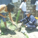 Con siembra de plantones culminaron actividades por la Semana Forestal
